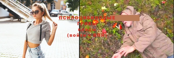 прущие крисы Балахна