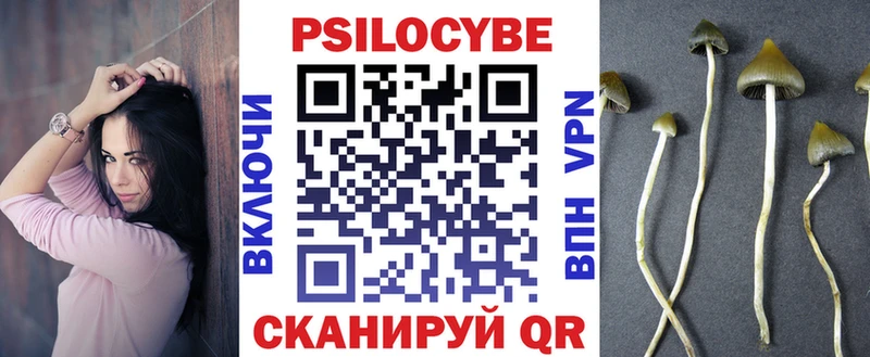 kraken онион  Лесосибирск  Галлюциногенные грибы ЛСД 